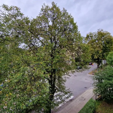 Lejlighed Apartament Classic Malbork