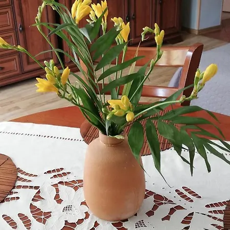 Apartament Classic Malbork